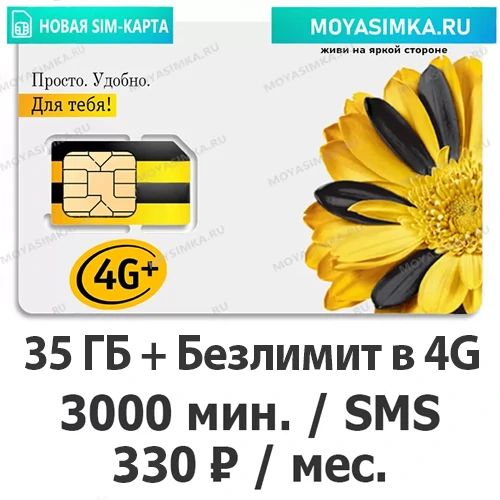 SIM-карта для звонков с Безлимитным интернетом Билайн 310