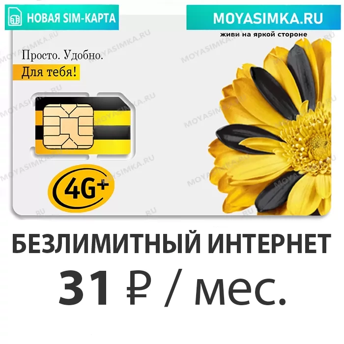сим карта билайн безлимитный интернет 31 рубль в месяц