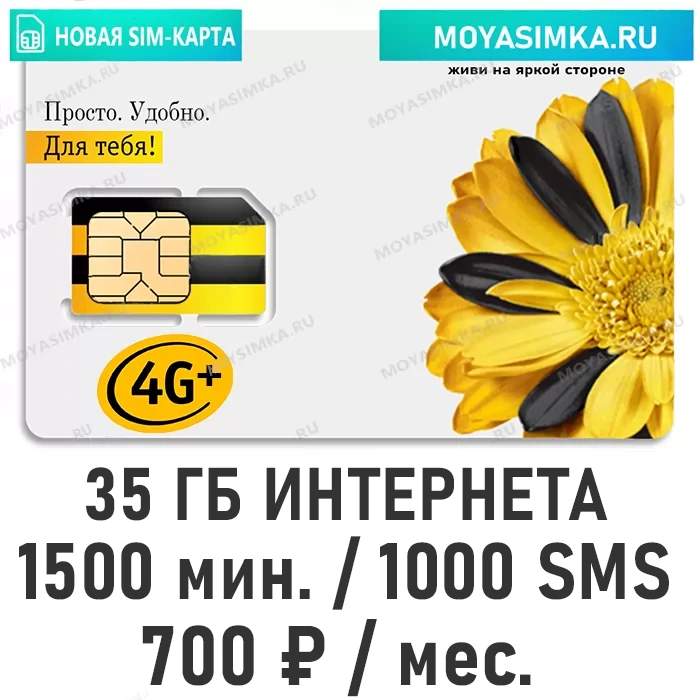 SIM-карта для интернета и звонков Билайн Чукотка 700