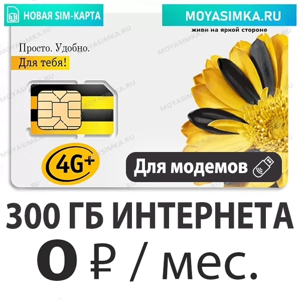 SIM-карта для интернета без абонентской платы Бил@йн VIP (для всех устройств)